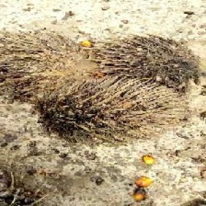 defect_test (100).jpg