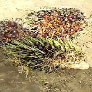 defect_test (101).jpg