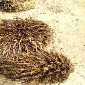 defect_test (104).jpg