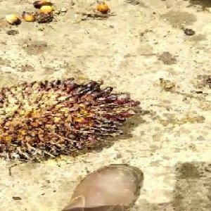 defect_test (105).jpg