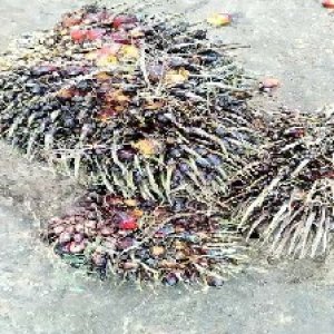 defect_test (107).jpg