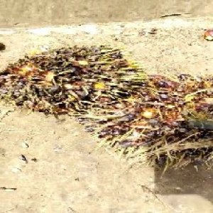 defect_test (109).jpg