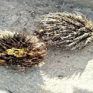 defect_test (110).jpg