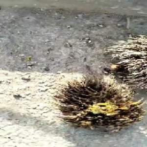 defect_test (111).jpg