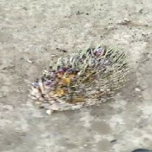 defect_test (112).jpg