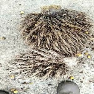 defect_test (114).jpg