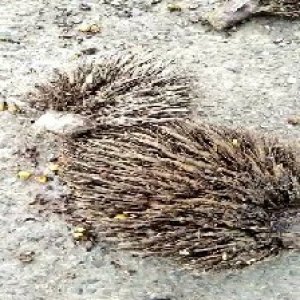 defect_test (115).jpg