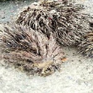 defect_test (12).jpg