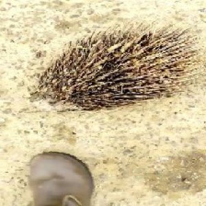 defect_test (120).jpg