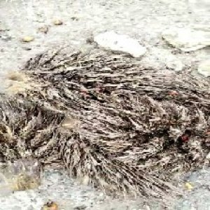 defect_test (128).jpg