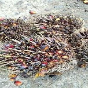 defect_test (130).jpg