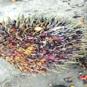 defect_test (133).jpg