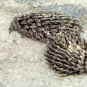 defect_test (136).jpg