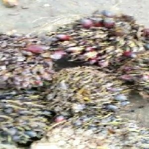 defect_test (138).jpg