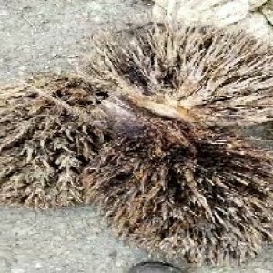 defect_test (141).jpg