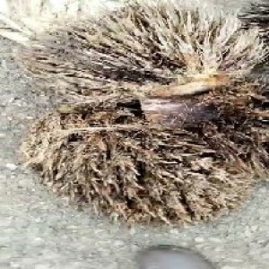 defect_test (142).jpg