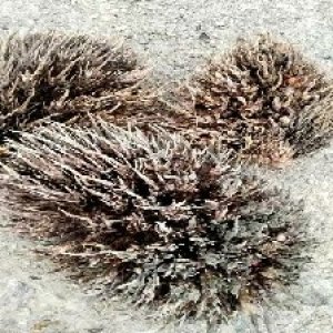 defect_test (143).jpg