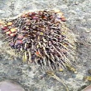 defect_test (144).jpg