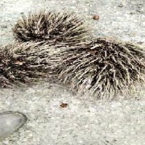 defect_test (147).jpg