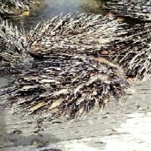 defect_test (15).jpg