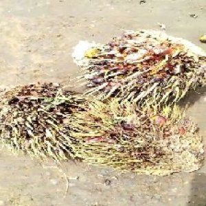 defect_test (151).jpg