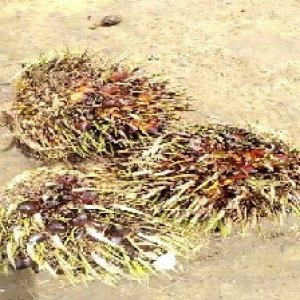 defect_test (152).jpg