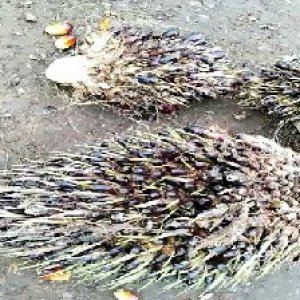 defect_test (153).jpg