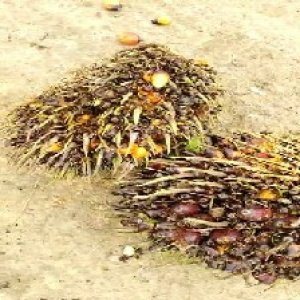 defect_test (154).jpg