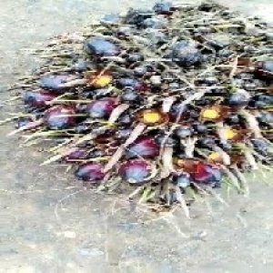 defect_test (157).jpg