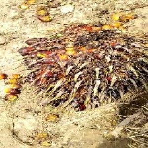 defect_test (16).jpg