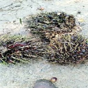 defect_test (161).jpg