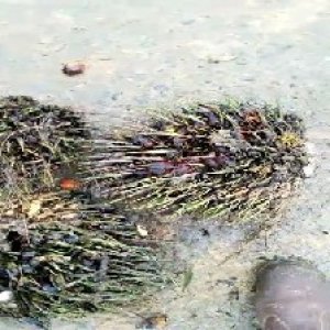 defect_test (162).jpg