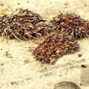 defect_test (166).jpg