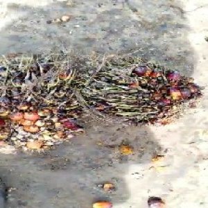 defect_test (169).jpg