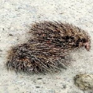 defect_test (170).jpg