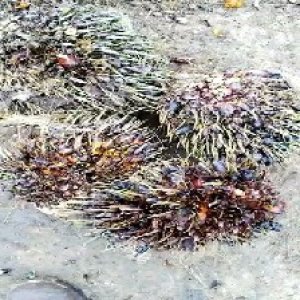 defect_test (174).jpg