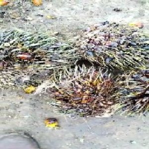 defect_test (175).jpg