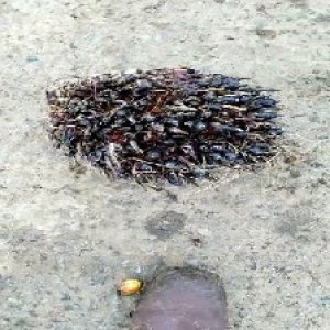 defect_test (178).jpg