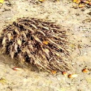 defect_test (18).jpg