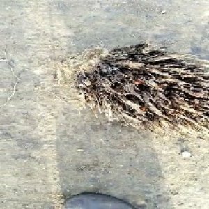 defect_test (181).jpg