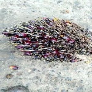 defect_test (184).jpg