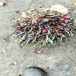 defect_test (188).jpg