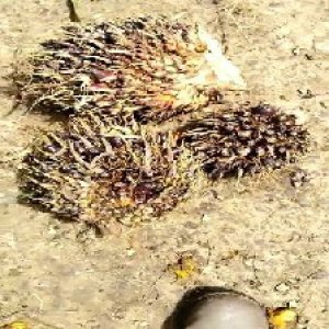 defect_test (191).jpg