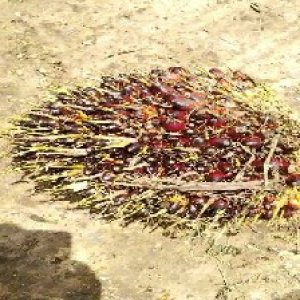 defect_test (20).jpg