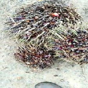 defect_test (202).jpg