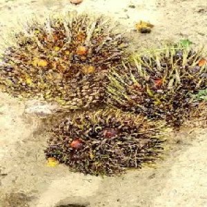 defect_test (203).jpg