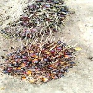 defect_test (205).jpg