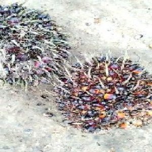 defect_test (206).jpg