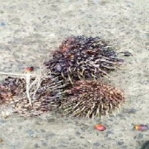 defect_test (207).jpg