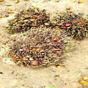 defect_test (211).jpg